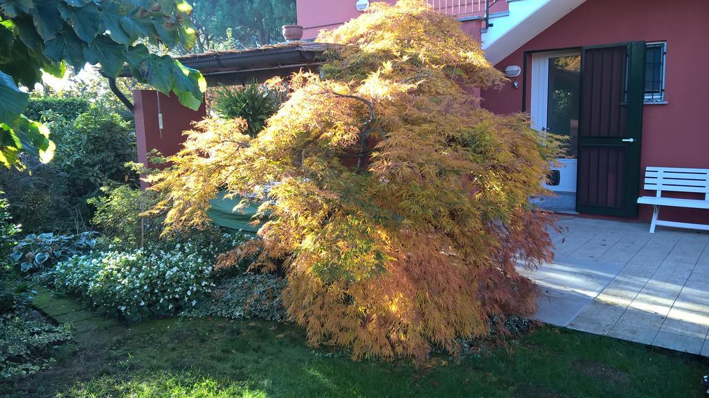 La Collina Since 2008 No Smoking B&B Varese Kültér fotó